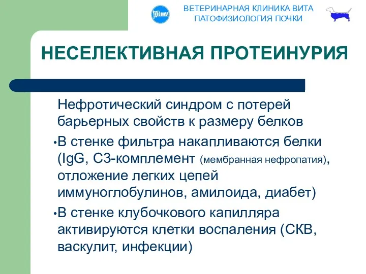 НЕСЕЛЕКТИВНАЯ ПРОТЕИНУРИЯ Нефротический синдром с потерей барьерных свойств к размеру