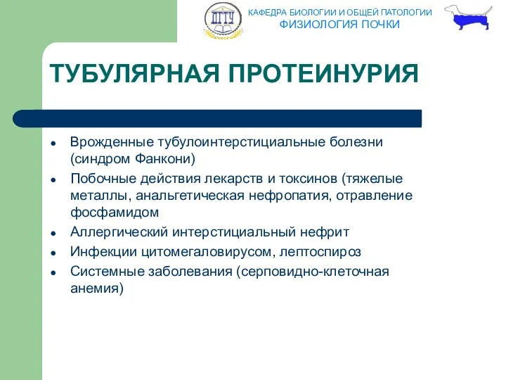 ТУБУЛЯРНАЯ ПРОТЕИНУРИЯ Врожденные тубулоинтерстициальные болезни (синдром Фанкони) Побочные действия лекарств