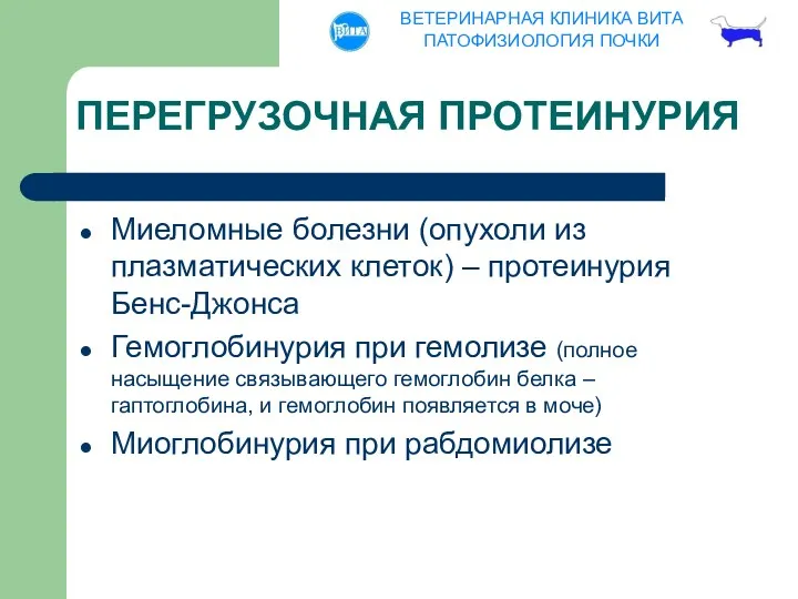 ПЕРЕГРУЗОЧНАЯ ПРОТЕИНУРИЯ Миеломные болезни (опухоли из плазматических клеток) – протеинурия