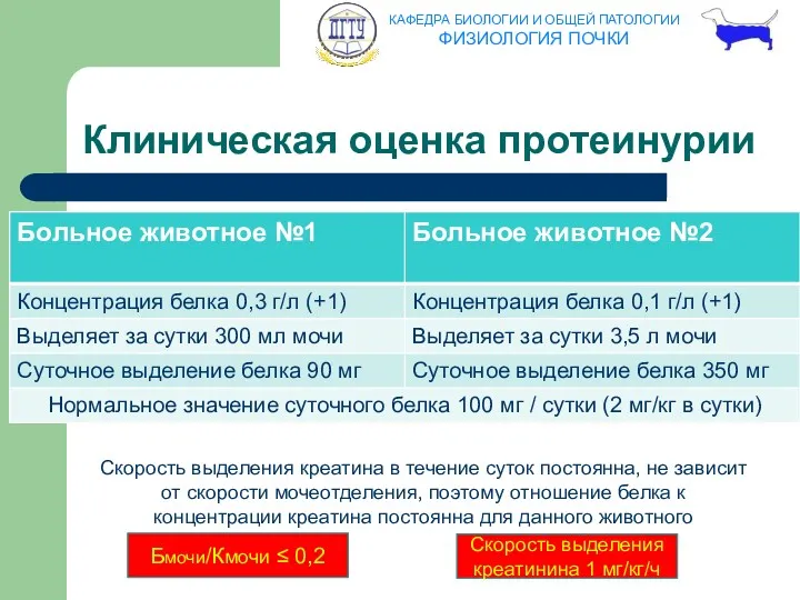 Бмочи/Кмочи ≤ 0,2 Клиническая оценка протеинурии Скорость выделения креатина в