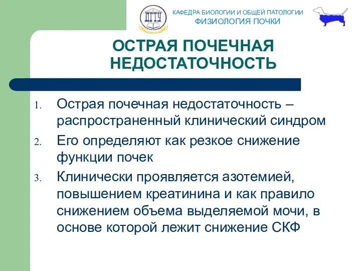 ОСТРАЯ ПОЧЕЧНАЯ НЕДОСТАТОЧНОСТЬ Острая почечная недостаточность – распространенный клинический синдром