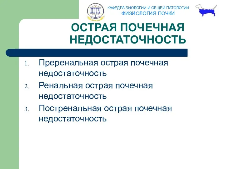 Преренальная острая почечная недостаточность Ренальная острая почечная недостаточность Постренальная острая почечная недостаточность ОСТРАЯ ПОЧЕЧНАЯ НЕДОСТАТОЧНОСТЬ