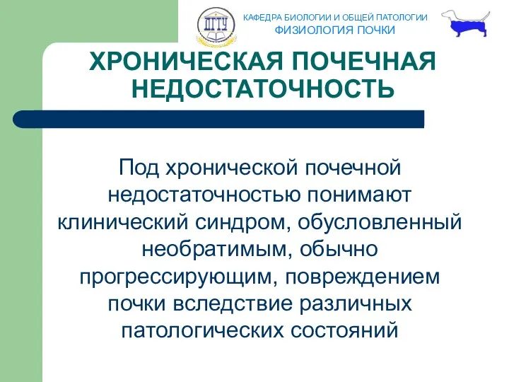 ХРОНИЧЕСКАЯ ПОЧЕЧНАЯ НЕДОСТАТОЧНОСТЬ Под хронической почечной недостаточностью понимают клинический синдром,