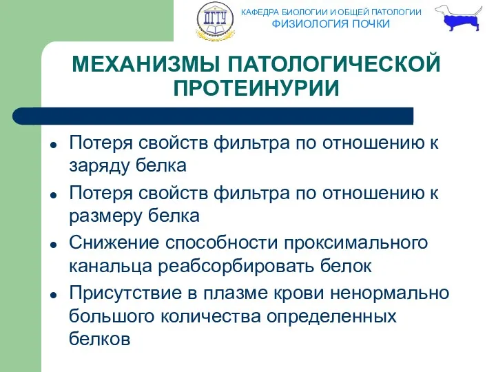 МЕХАНИЗМЫ ПАТОЛОГИЧЕСКОЙ ПРОТЕИНУРИИ Потеря свойств фильтра по отношению к заряду