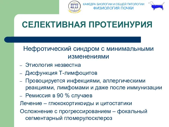 СЕЛЕКТИВНАЯ ПРОТЕИНУРИЯ Нефротический синдром с минимальными изменениями Этиология незвестна Дисфункция