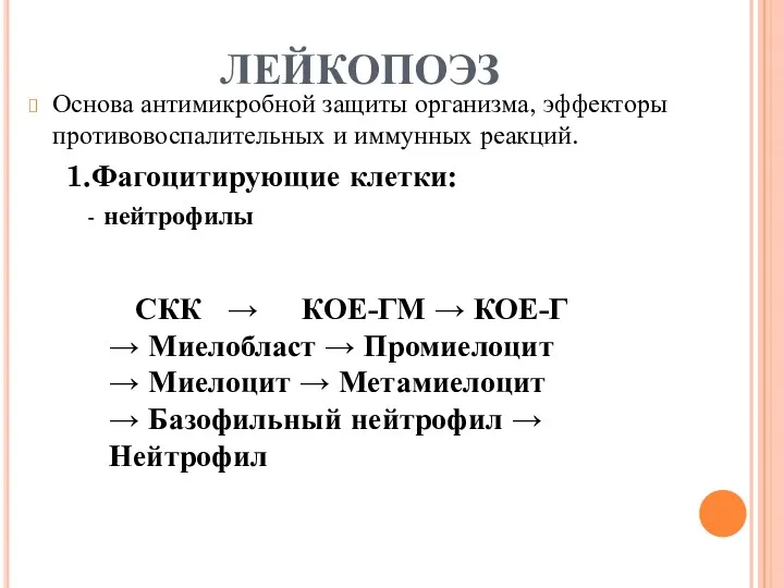 ЛЕЙКОПОЭЗ Основа антимикробной защиты организма, эффекторы противовоспалительных и иммунных реакций.