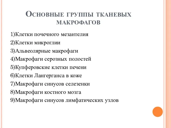 Основные группы тканевых макрофагов 1)Клетки почечного мезантелия 2)Клетки микроглии 3)Альвеолярные