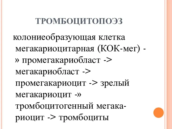 ТРОМБОЦИТОПОЭЗ колониеобразующая клетка мегакариоцитарная (КОК-мег) -» промегакариобласт -> мегакариобласт ->