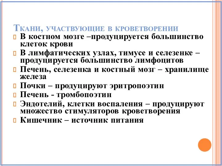 Ткани, участвующие в кроветворении В костном мозге –продуцируется большинство клеток