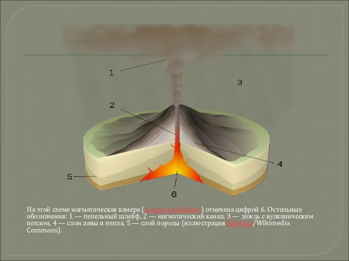 На этой схеме магматическая камера (magma chamber) отмечена цифрой 6.