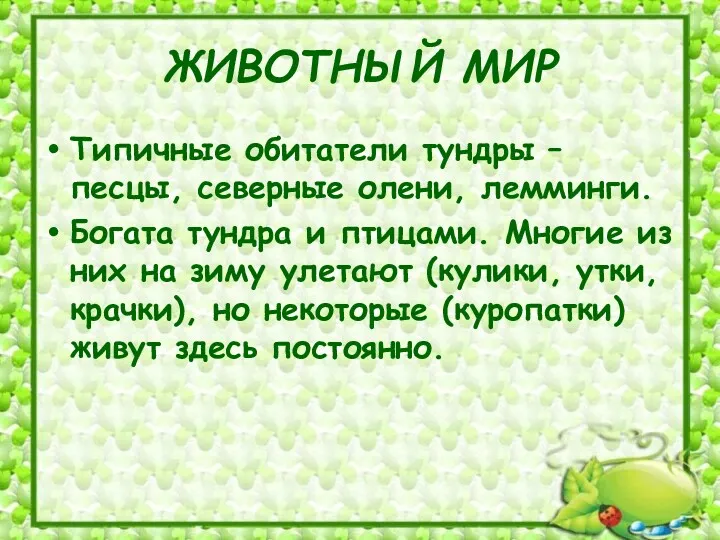 ЖИВОТНЫЙ МИР Типичные обитатели тундры – песцы, северные олени, лемминги.