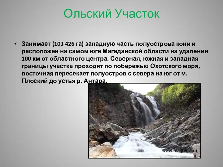 Ольский Участок Занимает (103 426 га) западную часть полуострова кони