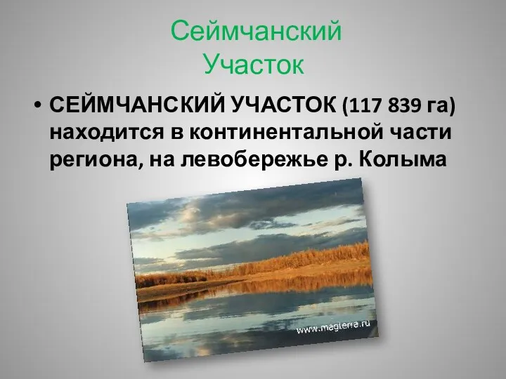 Сеймчанский Участок СЕЙМЧАНСКИЙ УЧАСТОК (117 839 га) находится в континентальной части региона, на левобережье р. Колыма