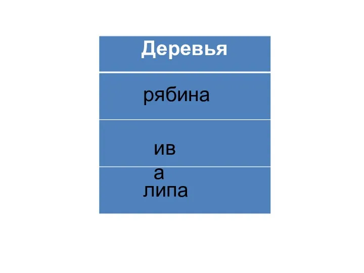 дуб берёза кедр деревья ива липа рябина