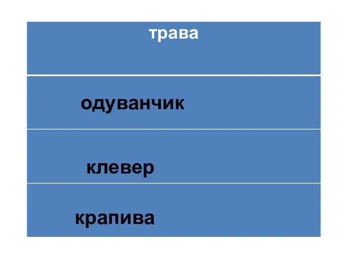 одуванчик клевер крапива