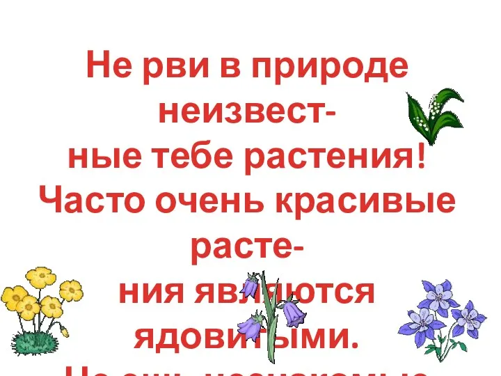 Не рви в природе неизвест- ные тебе растения! Часто очень