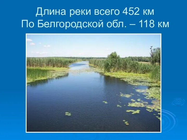 Длина реки всего 452 км По Белгородской обл. – 118 км