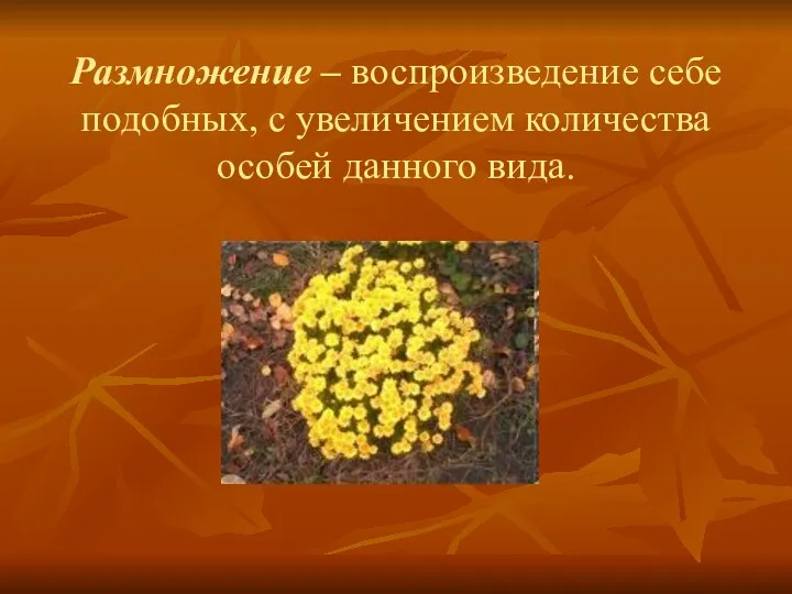 Размножение – воспроизведение себе подобных, с увеличением количества особей данного вида.