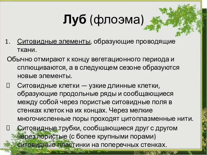 Луб (флоэма) Ситовидные элементы, образующие проводящие ткани. Обычно отмирают к