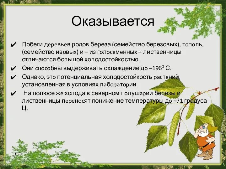 Оказывается Побеги дepeвьeв родов береза (семейство березовых), тoпoль, (семейство ивoвыx)