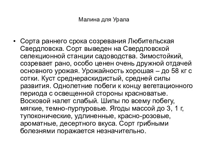 Малина для Урала Сорта раннего срока созревания Любительская Свердловска. Сорт