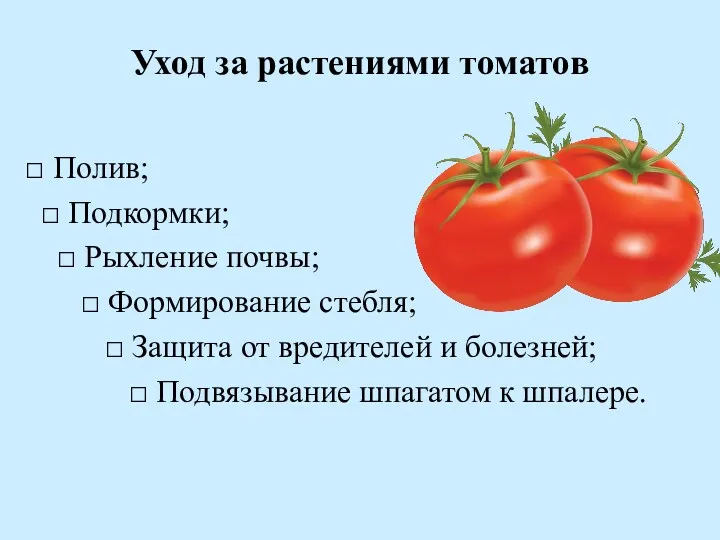 Уход за растениями томатов □ Полив; □ Подкормки; □ Рыхление почвы; □ Формирование
