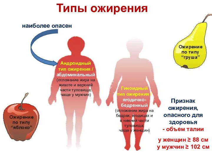 Андроидный тип ожирения / абдоминальный (отложение жира на животе и