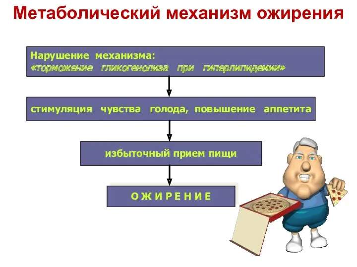 Метаболический механизм ожирения