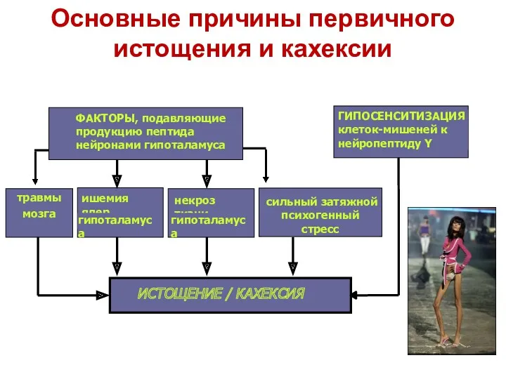 Основные причины первичного истощения и кахексии