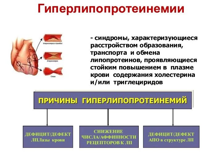 - синдромы, характеризующиеся расстройством образования, транспорта и обмена липопротеинов, проявляющиеся