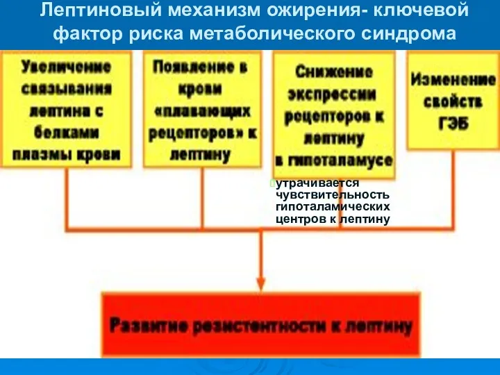 Лептиновый механизм ожирения- ключевой фактор риска метаболического синдрома утрачивается чувствительность гипоталамических центров к лептину