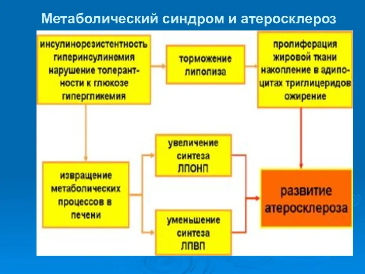 Метаболический синдром и атеросклероз