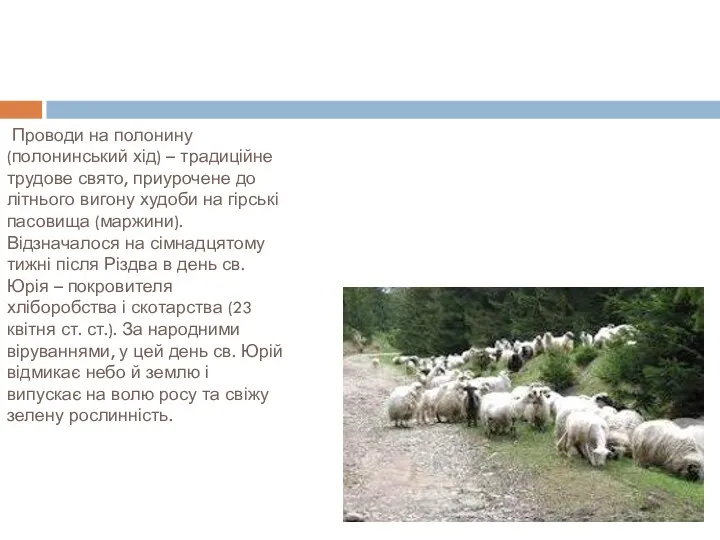 Проводи на полонину (полонинський хід) – традиційне трудове свято, приурочене