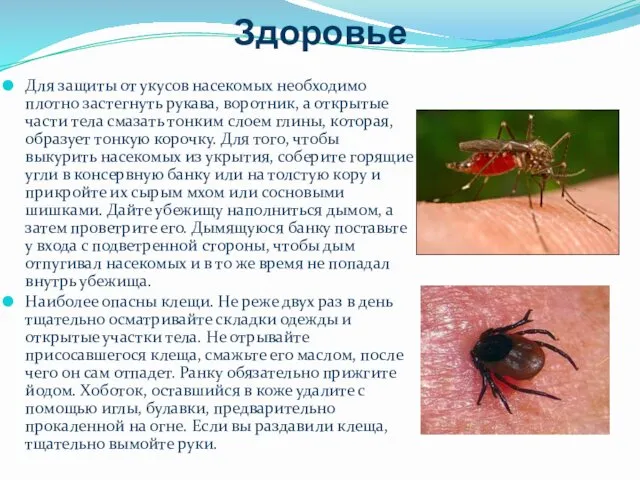 Здоровье Для защиты от укусов насекомых необходимо плотно застегнуть рукава,