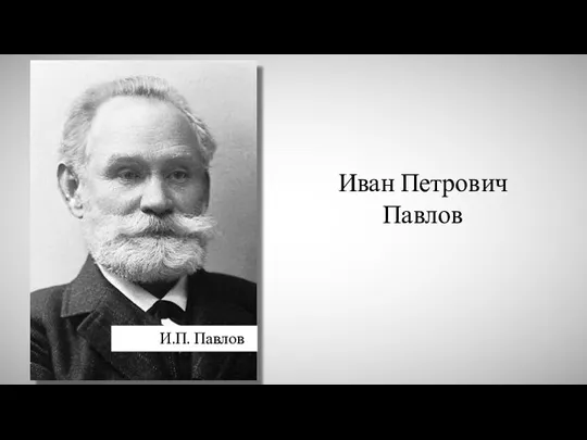 Иван Петрович Павлов И.П. Павлов