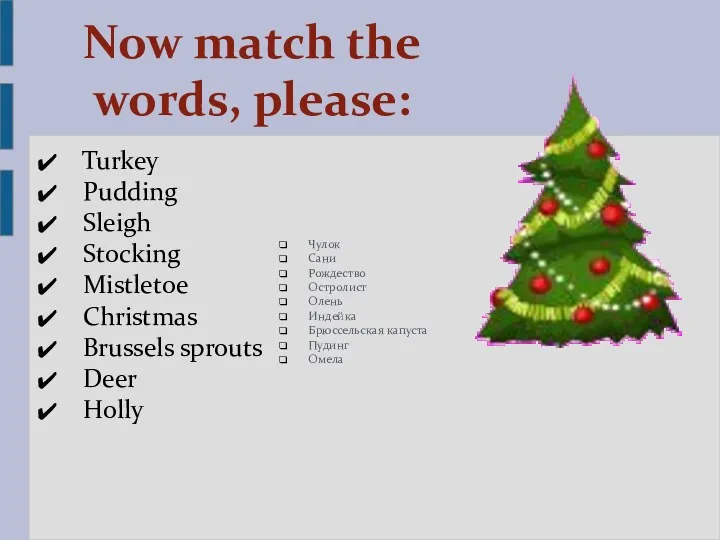 Now match the words, please: Turkey Pudding Sleigh Stocking Mistletoe