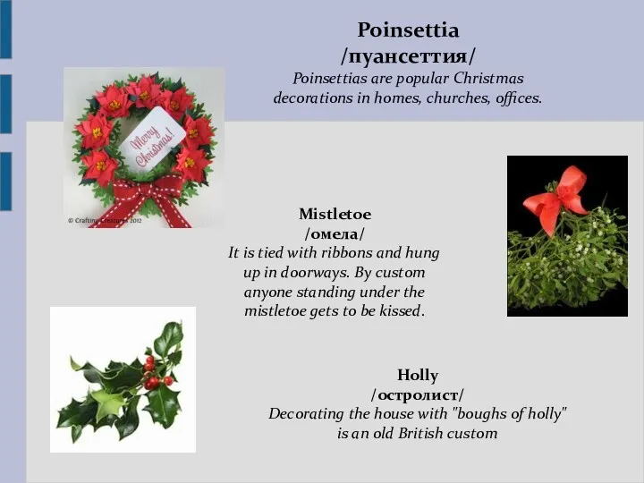 Mistletoe /омела/ It is tied with ribbons and hung up