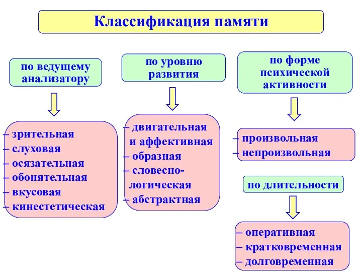 Классификация памяти по ведущему анализатору по уровню развития по форме