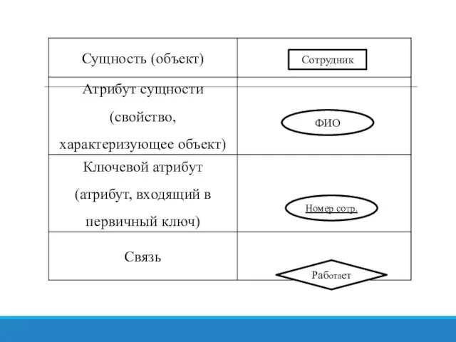 ФИО Номер сотр. Сотрудник Работает