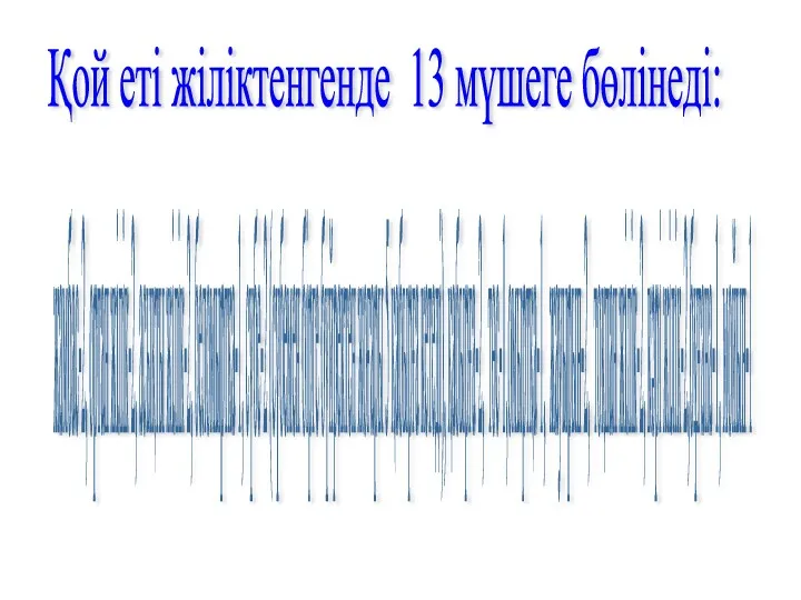 Қой еті жіліктенгенде 13 мүшеге бөлінеді: жамбас-2, ортан жілік-2, асықты