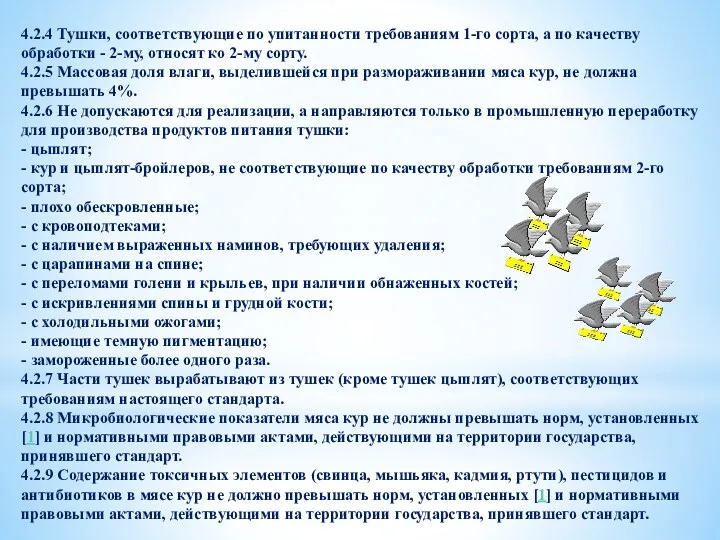 4.2.4 Тушки, соответствующие по упитанности требованиям 1-го сорта, а по