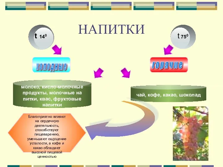 НАПИТКИ молоко, кисло-молочные продукты, молочные на­питки, квас, фруктовые напитки чай,