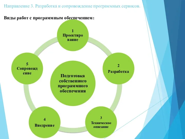 Направление 3. Разработка и сопровождение программных сервисов. Виды работ с программным обеспечением: