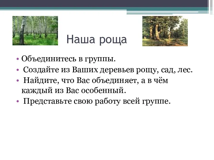 Наша роща Объединитесь в группы. Создайте из Ваших деревьев рощу,