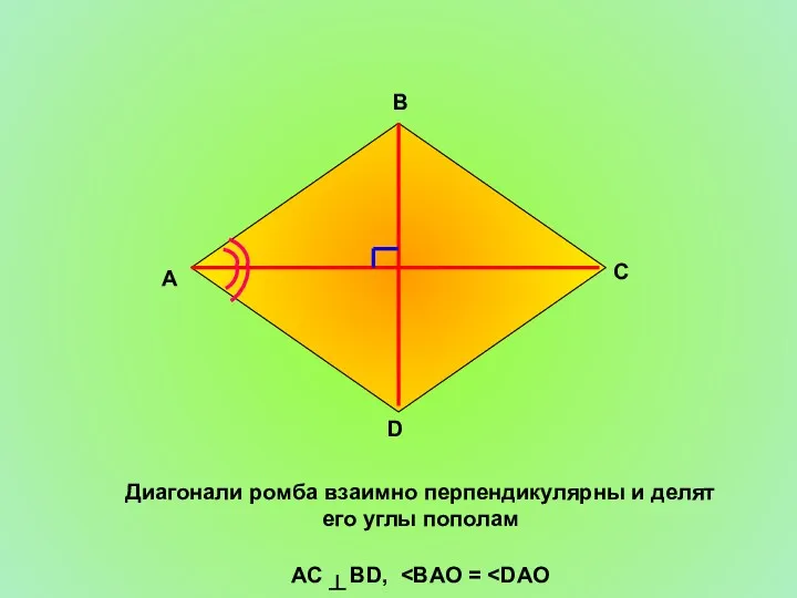 Диагонали ромба взаимно перпендикулярны и делят его углы пополам AC ┴ BD, A D C B