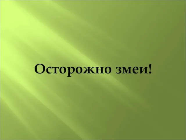 Осторожно змеи!