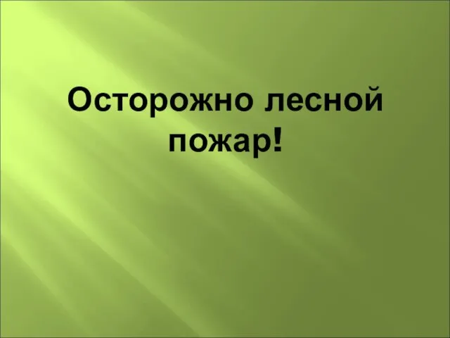 Осторожно лесной пожар!