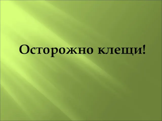 Осторожно клещи!