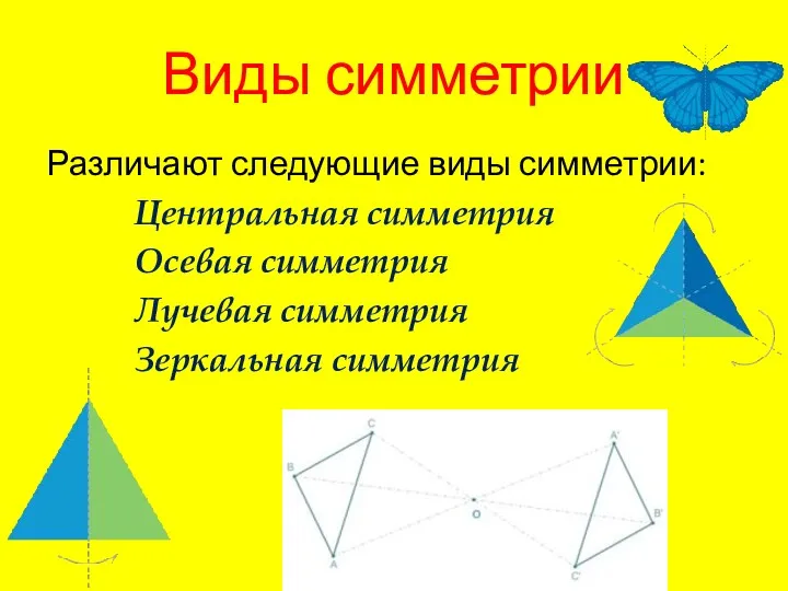 Виды симметрии Различают следующие виды симметрии: Центральная симметрия Осевая симметрия Лучевая симметрия Зеркальная симметрия