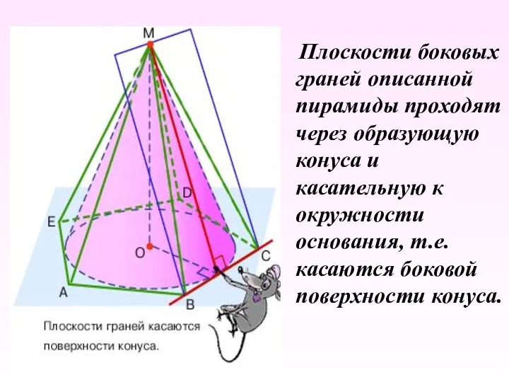 Плоскости боковых граней описанной пирамиды проходят через образующую конуса и